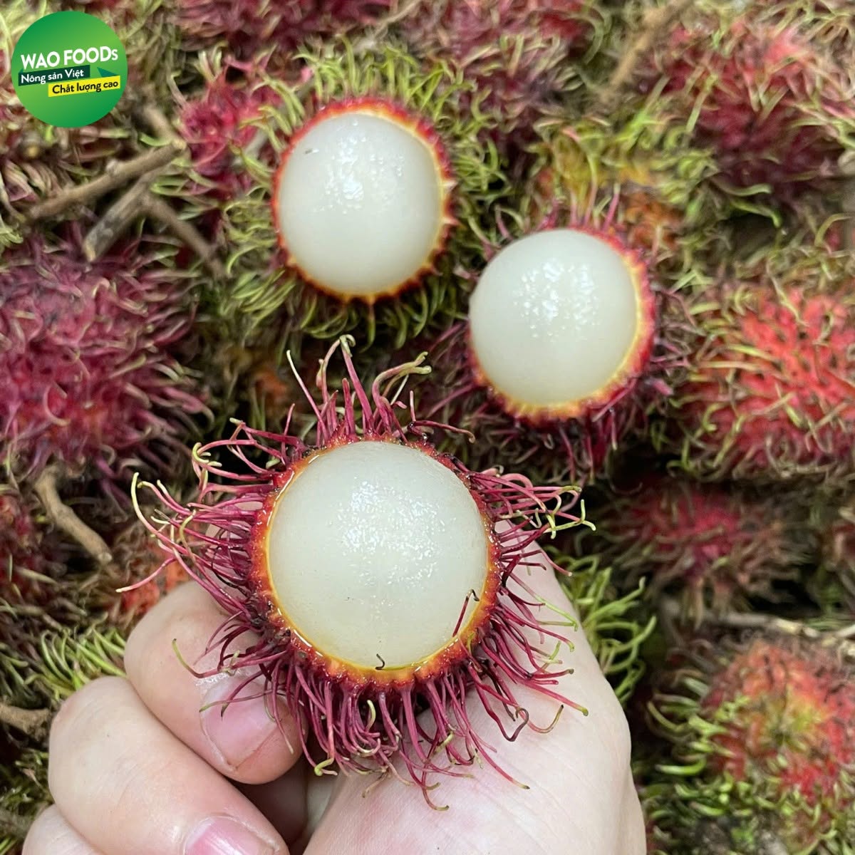 Chôm chôm Thái