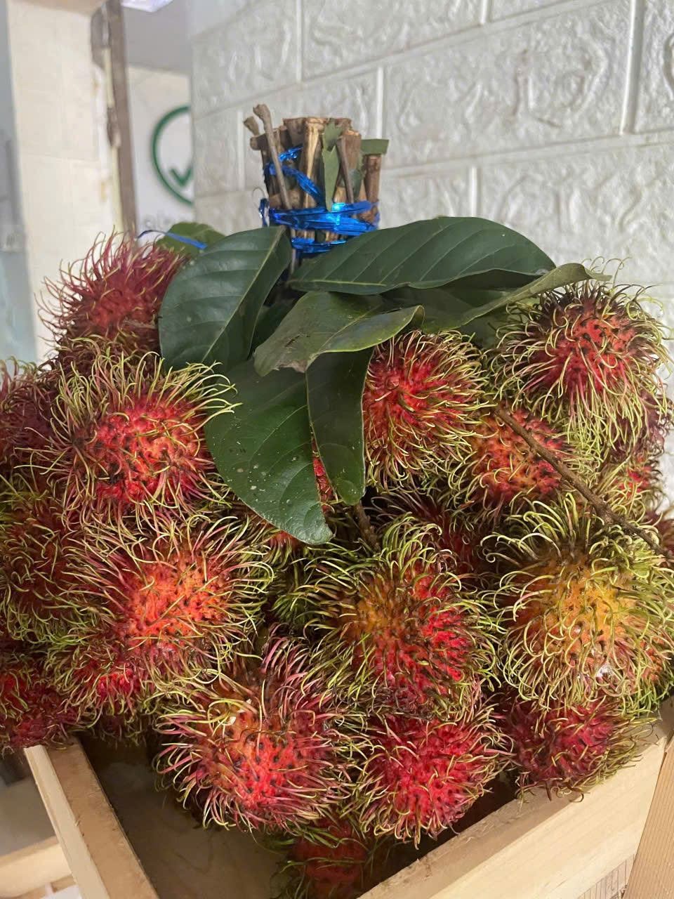 Combo 3kg chôm chôm Thái