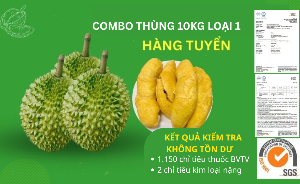 COMBO 10KG RI6 LOẠI 1 - HÀNG TUYỂN