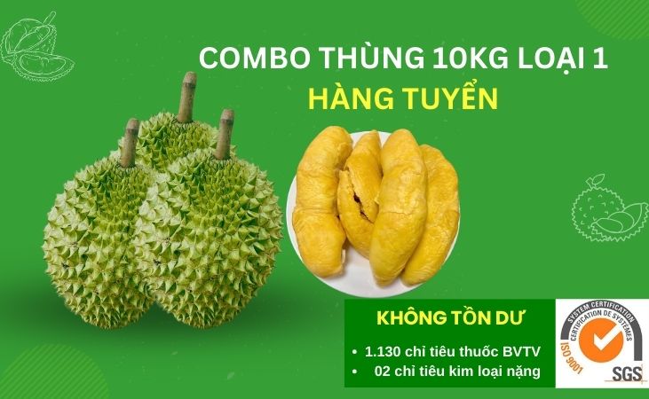 COMBO 10KG RI6 LOẠI 1 - HÀNG TUYỂN