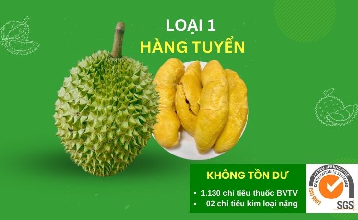 RI6 LOẠI 1 - HÀNG TUYỂN