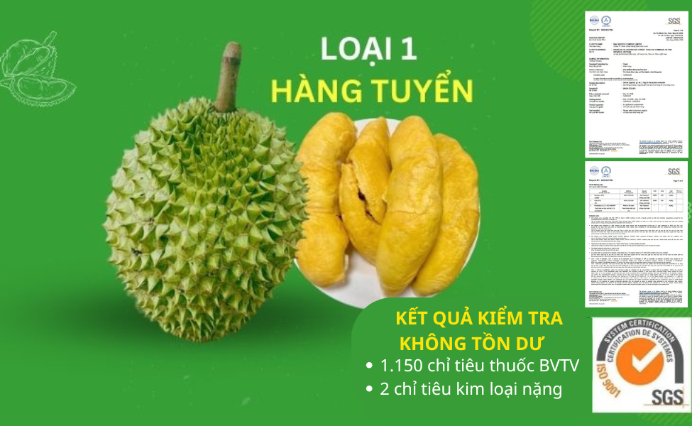 RI6 LOẠI 1 - HÀNG TUYỂN