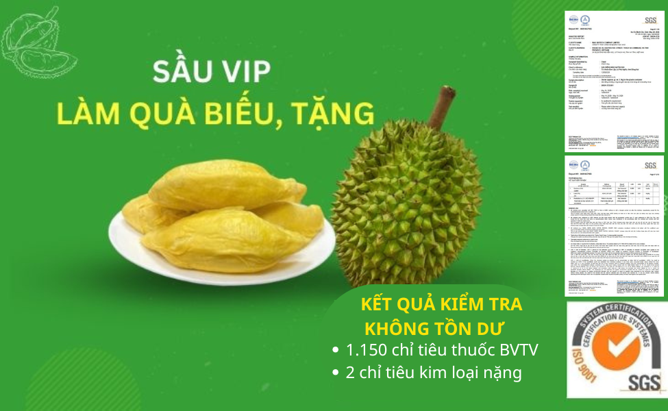 RI6 VIP - LÀM QUÀ BIẾU TẶNG