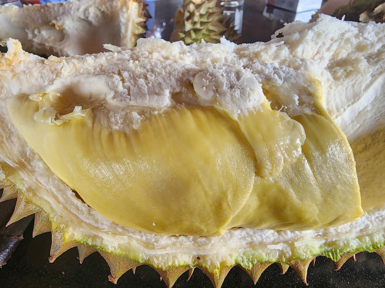 Sầu Thái Loại 2